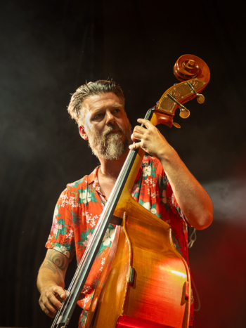 LES FRANGINS - photo Pascal ANDRIESSENS