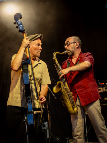 SANSEVERINO - photo Jean-Claude VERGNE