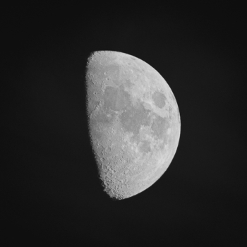 T 08