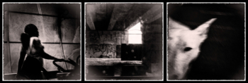 1 PHOTO CLUB SARLADAIS - Latreille Christian - Peur sur la ville
