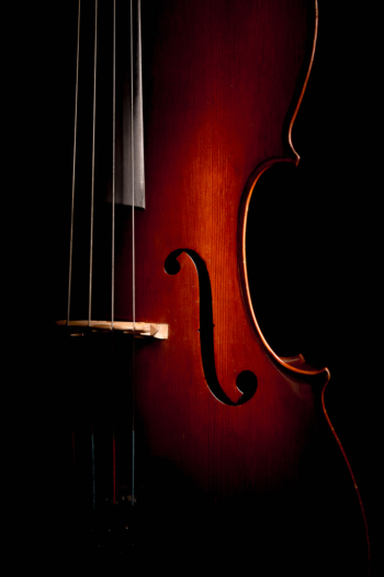 3ème prix série - Sajot Nicolas - Violoncelle - 1