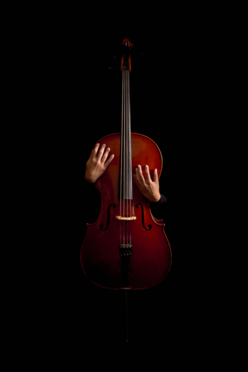 3ème prix série - Sajot Nicolas - Violoncelle - 2
